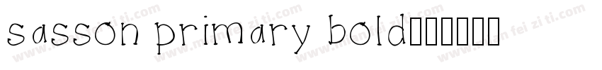 sasson primary bold字体转换